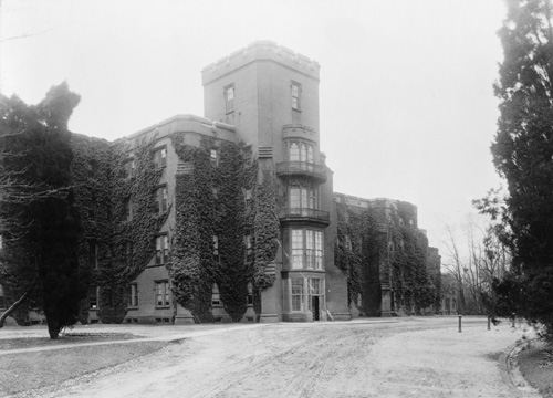 File:Stel.jpg