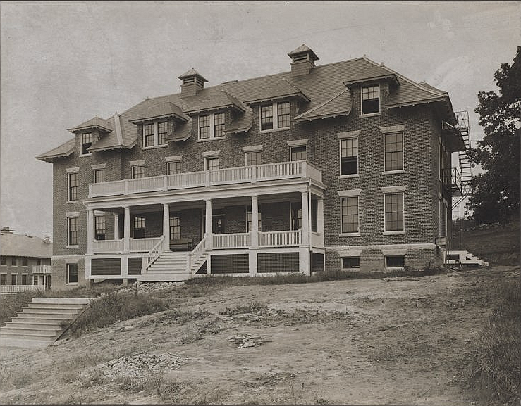 Filepalmernurses.png Asylum Projects