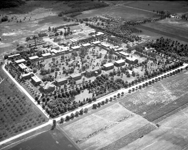 FileNewberry2.jpg Asylum Projects