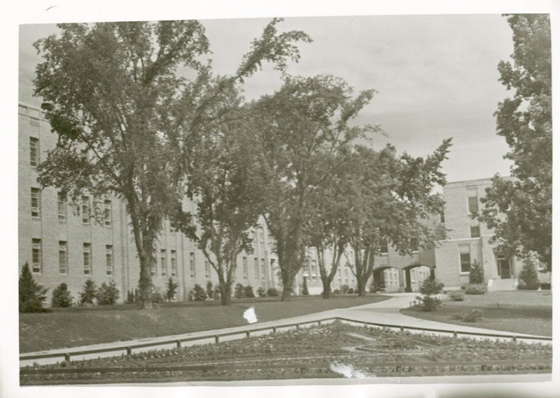 File:WAeshadminrear.png