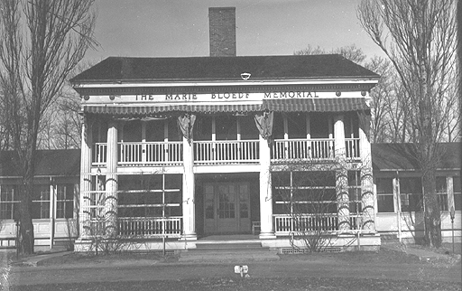 File:Eudowood 10.jpg