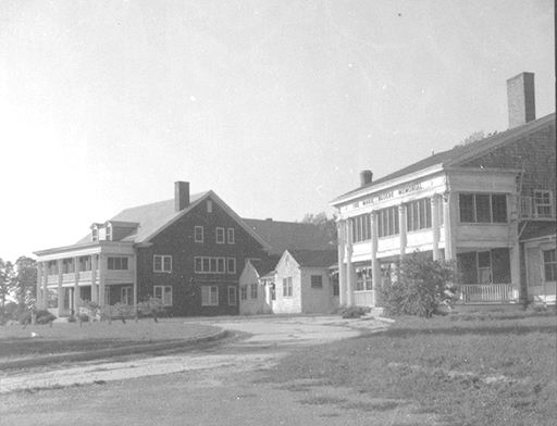 File:Eudowood 08.jpg