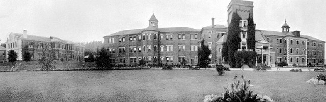 File:woodlands2.png