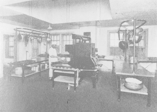 File:Eudowood 12.jpg