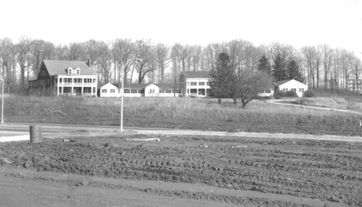 File:Eudowood 11.jpg