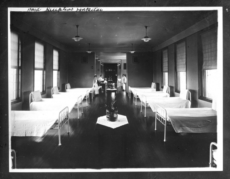 File:ward-2015-28 7 12c4d34152.jpg