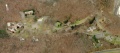 Undercliff Aerial 6.jpg