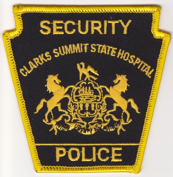 File:Clarks Summit Security Patch.jpg