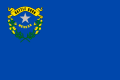 750px-Flag of Nevada.svg.png