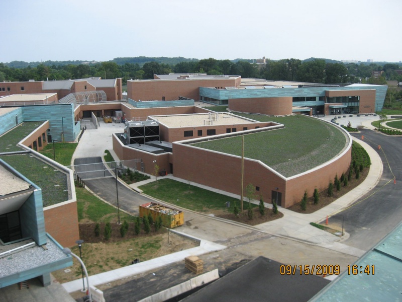 File:St Elizabeth New 06.jpg